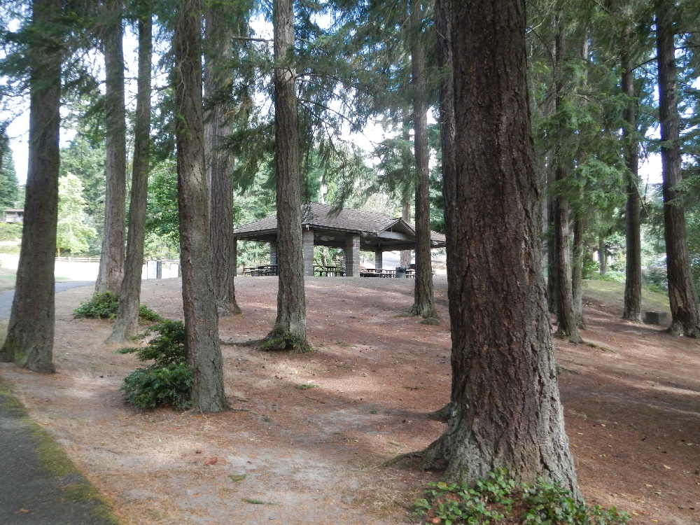 covered area near Mill Creek