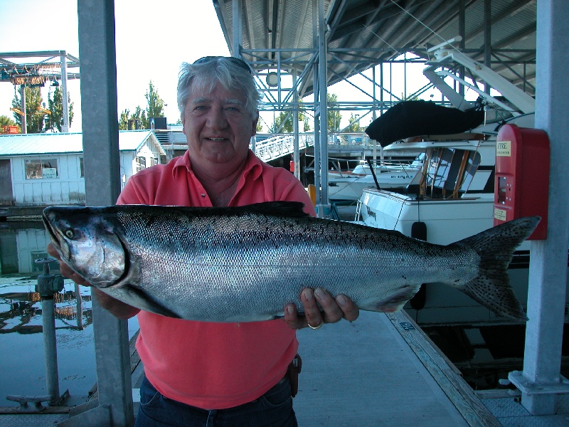 JR's King Salmon