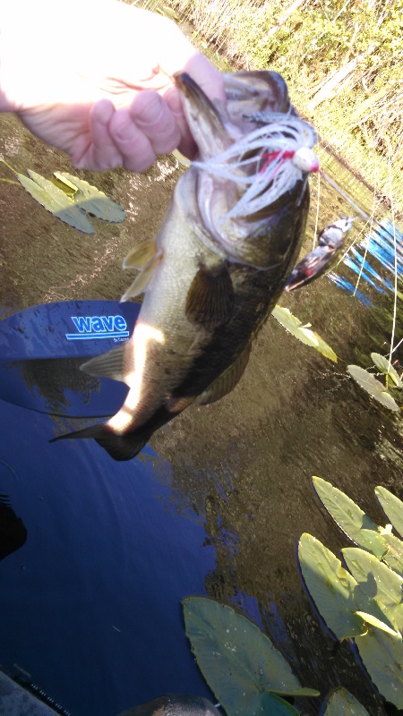 second bass near Auburn