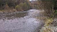 Dosewallips River