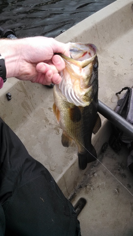 one fish early spring near Brier